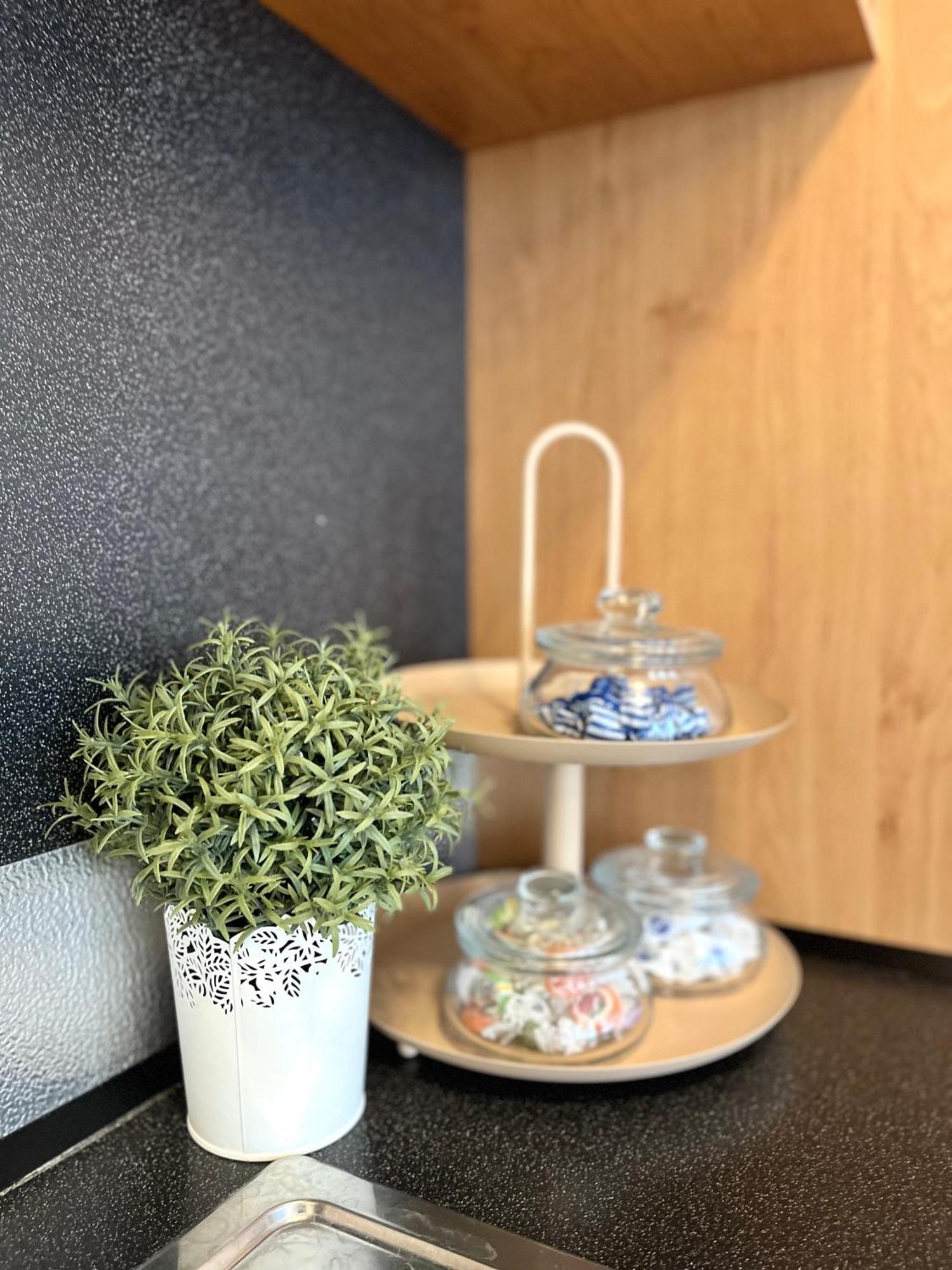 Apartment Tina - Old Town, Ac, Free Private Parking 布拉迪斯拉发 外观 照片