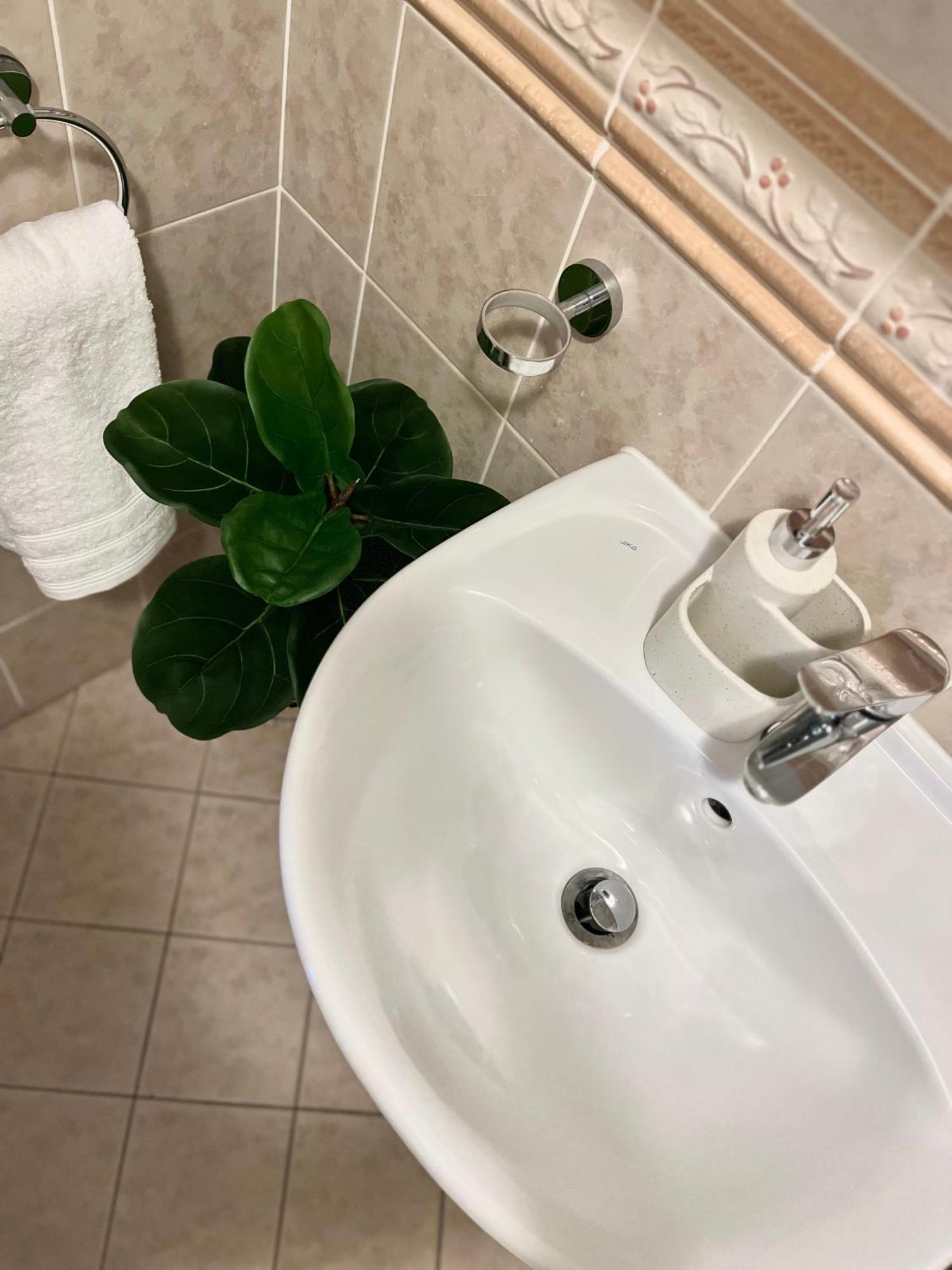 Apartment Tina - Old Town, Ac, Free Private Parking 布拉迪斯拉发 外观 照片