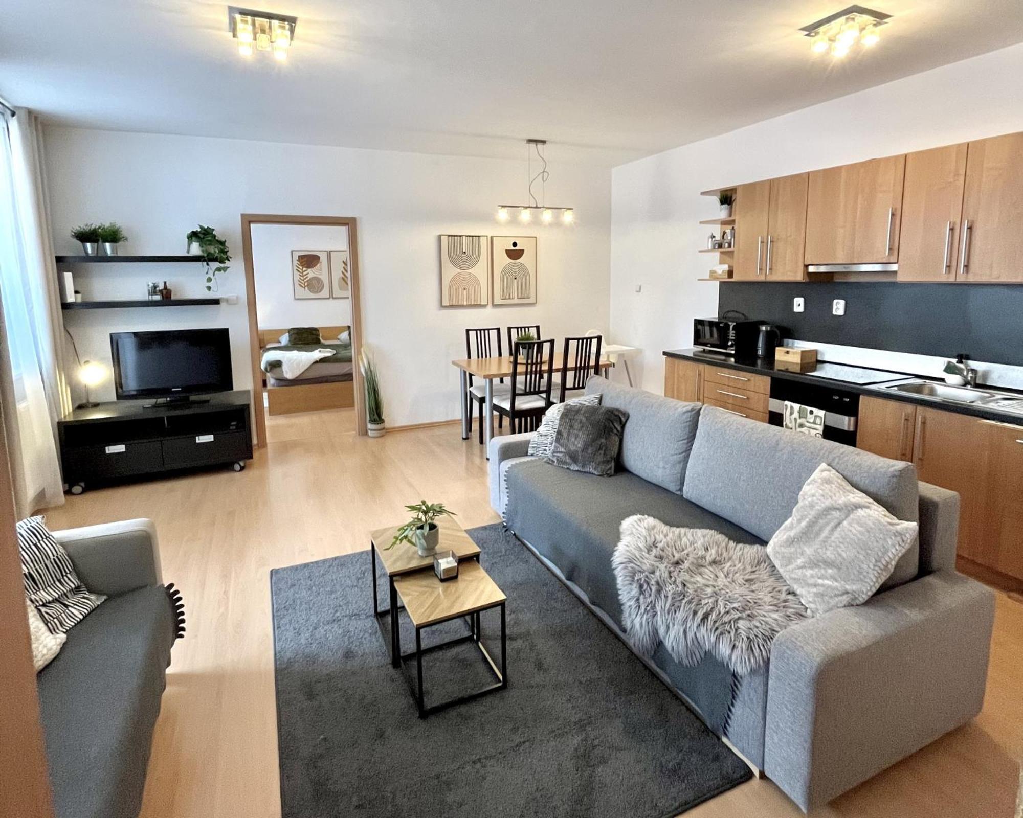 Apartment Tina - Old Town, Ac, Free Private Parking 布拉迪斯拉发 外观 照片